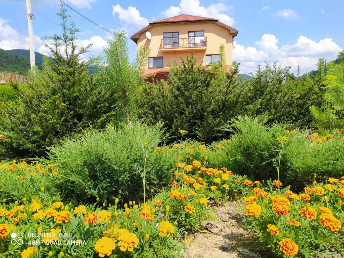Bilovoddya Hotel Sil Εξωτερικό φωτογραφία